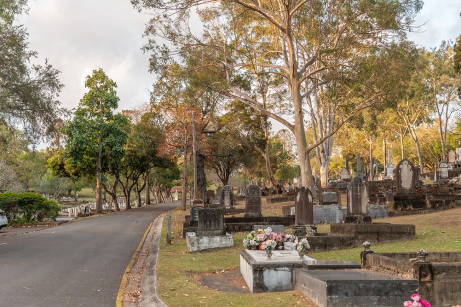Trees in Toowong Cemetery line the roads and are a feast for the eyes as they change colour during autumn.
