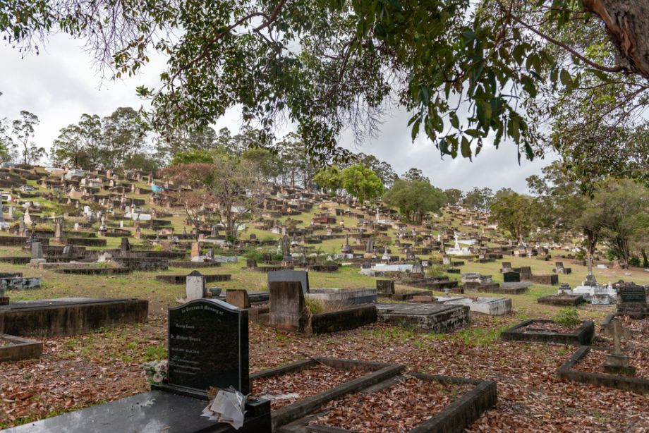Looking toward one of the hill peaks in Toowong Cemetery.