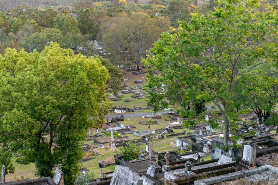 Vibrant green trees provide a beautiful backdrop at Brisbane's Tooowng Cemetery.