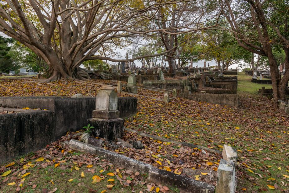 Autumn leaves cover graves from the mature trees above at Toowong Cemetery.